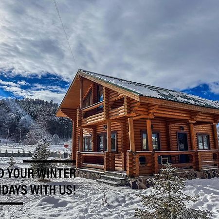 Вілла Log House Бакуріані Екстер'єр фото