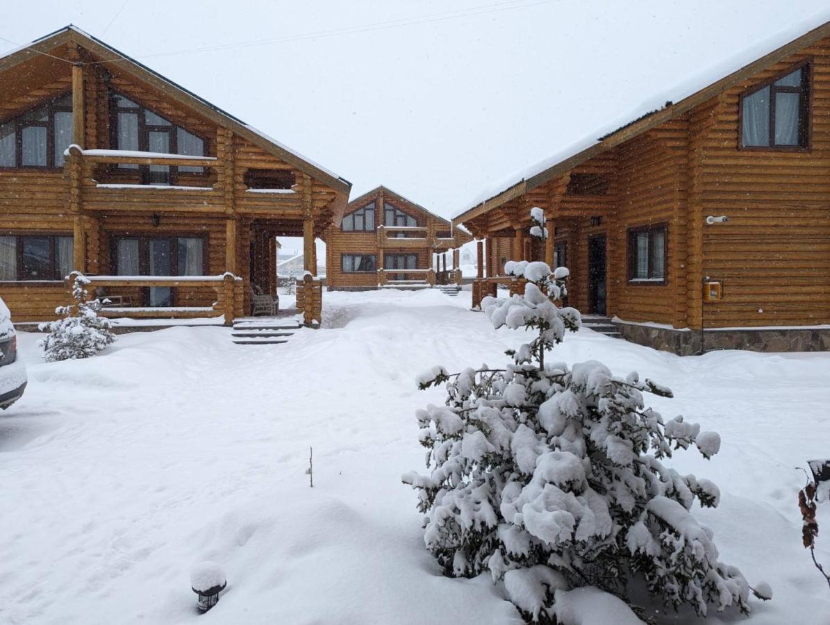 Вілла Log House Бакуріані Екстер'єр фото